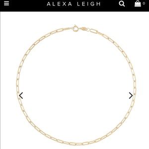 Alexa Leigh Link Chain Necklace